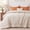 Pumice Stone, variant on U by Bedsure Quilted Comforters Duvet Insert Queen Size, All Season Down Alternative,Soft Bedding, Machine Washable with 8 Corner Tabs (White, 88x88 Inches)