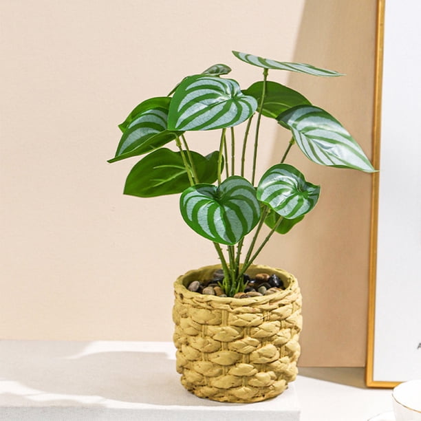 Plantas artificiales en maceta, bonsái verde, plantas pequeñas en maceta para estante de oficina, cocina, decoración interior y exterior estilo c Macarena Plantas en macetas falsas