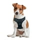 thumbnail image 3 of Pechera Arnes + Correa E-Pets Color Negro para Perro Chico, 3 of 8
