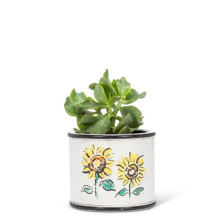 Set of 4 Small Sunflower Planter