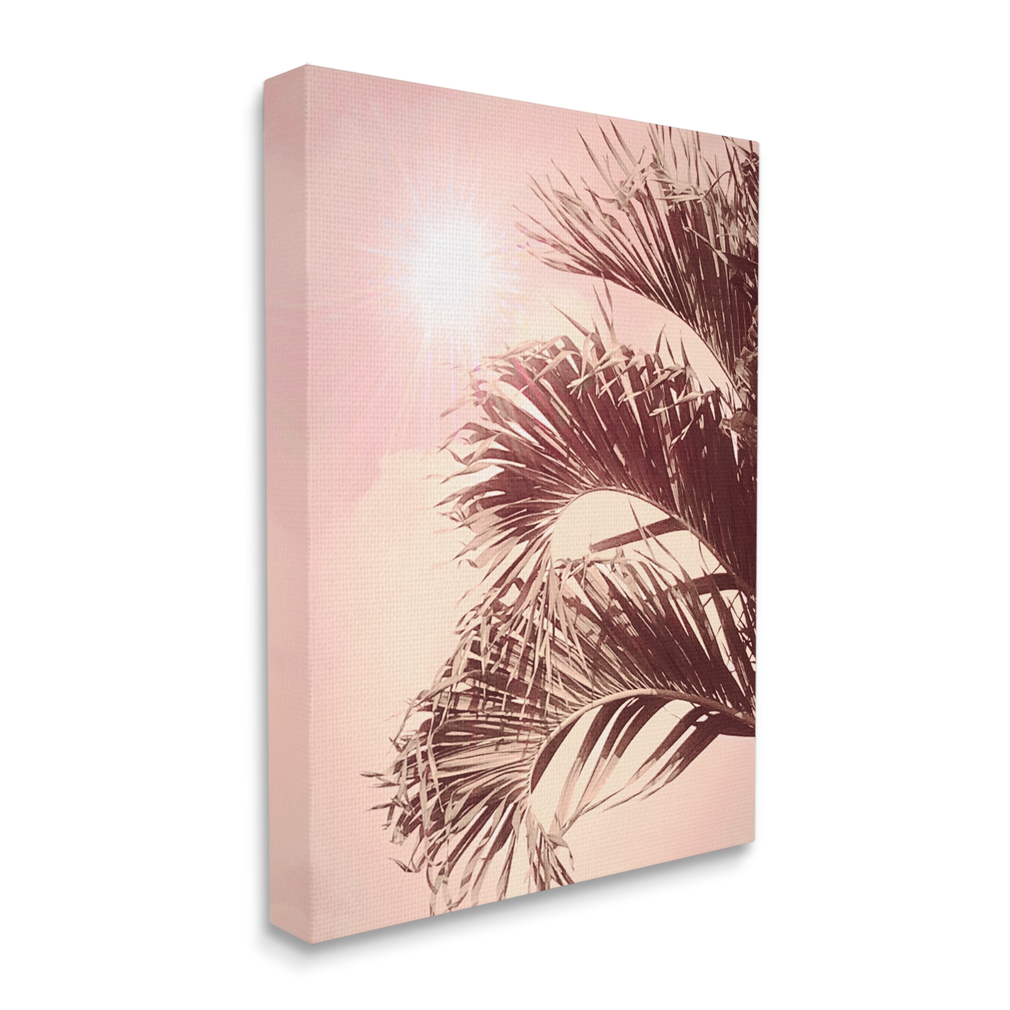 Stupell Industries Pink Sunlit Palm Fronds Botanical & Floral Photography Gallery Wrapped Canvas Print Wall Art, 16 x 20