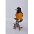 thumbnail image 3 of Garden Decor Animal Statue Oriole On Branch Statue, 3 of 5