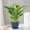 Blue, variant on 100Fens 3.5 Inch Plastic Plant Pots With Saucers Drains Holes Indoor Outdoor Flower Pots For Succulents Herbs Cactus Modern Lightweight