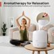 thumbnail image 3 of Humidificador CLARSTON Clarston Cool Mist de 2 litros para dormitorio, 3 of 8