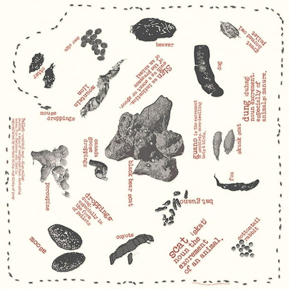 Printed Image Scat Bandanna