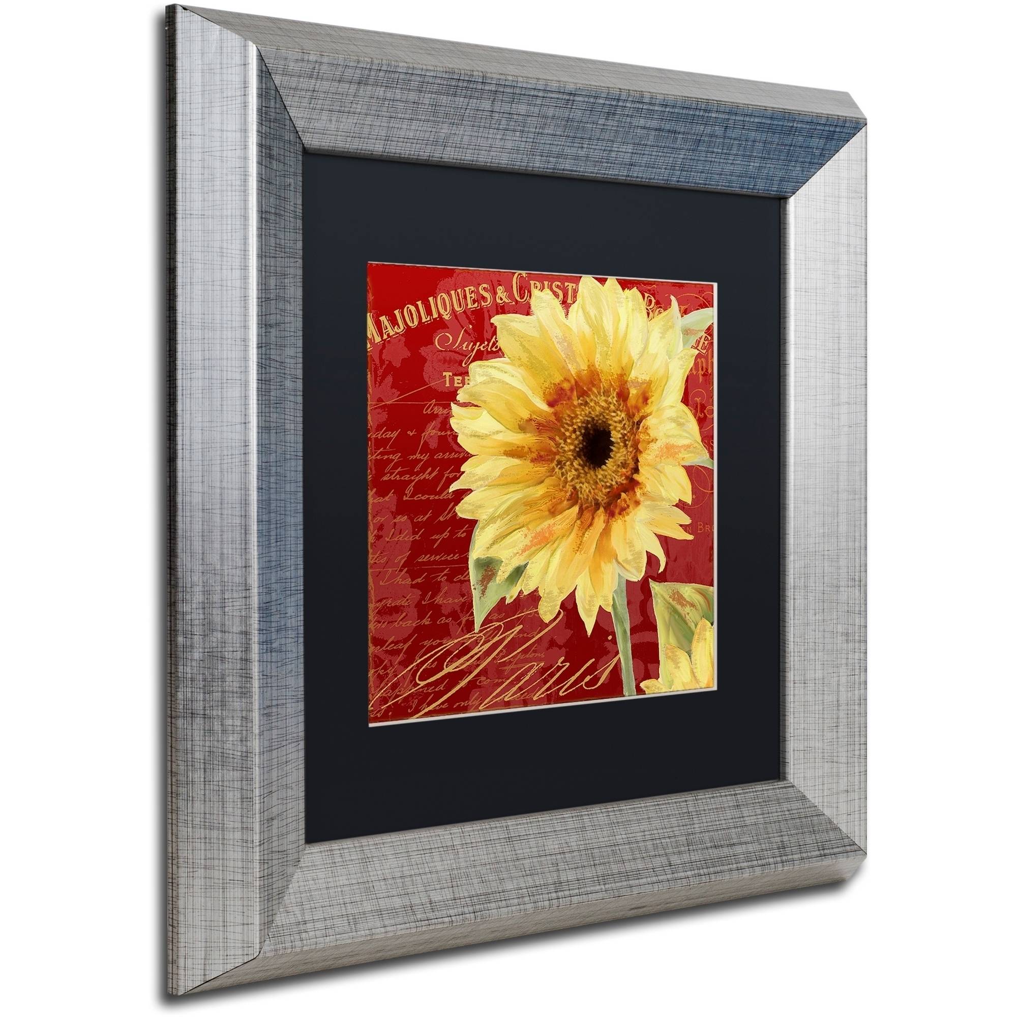 Trademark Fine Art "Ete III" Canvas Art by Color Bakery Black Matte, Silver Frame