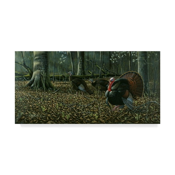 Trademark Fine Art 'The Suitor Wild Turkeys' Canvas Art by Wilhelm Goebel