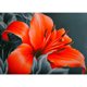 thumbnail image 1 of Diamante Pintura (DB3325) Flores 5D DIY Rhinestone Kits Square Home Decor 45x60cm Hugtrwg Para estrenar, 1 of 1