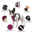 thumbnail image 5 of Pet Artist Reflective Dog Harness No Pull Dog Vest Harness With Handle, Breathable Padded Dog Chest Harness Adjustable for Small Dog, 5 of 7
