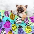thumbnail image 3 of Sigee Graffiti Pineapples for Pet Blanket for Dog Cat Puppy Blanket Cat Blankets for Small and Medium Pets-Large, 3 of 8