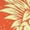 Orange, variant on Vintage Pineapple Sketch Women's T-Shirt Orange, Cotton, 2XL