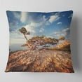 thumbnail image 2 of Designart Sunrise with Old Tree at Peak - Landscape Photo Throw Pillow - 16x16, 2 of 5