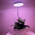 thumbnail image 2 of ER Luz LED para cultivo de plantas de interior de espectro completo brillar Electrónica, 2 of 5