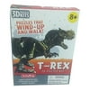 Schylling T-Rex Mini 3D Wind-Up Puzzle Kit