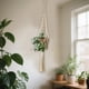 thumbnail image 5 of Hanging Basket For Gardening Or Kitchen, 5 of 6