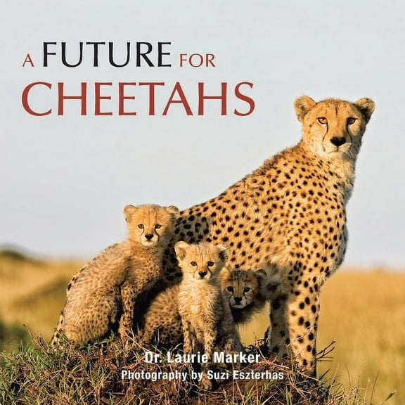 A Future for Cheetahs (Paperback)