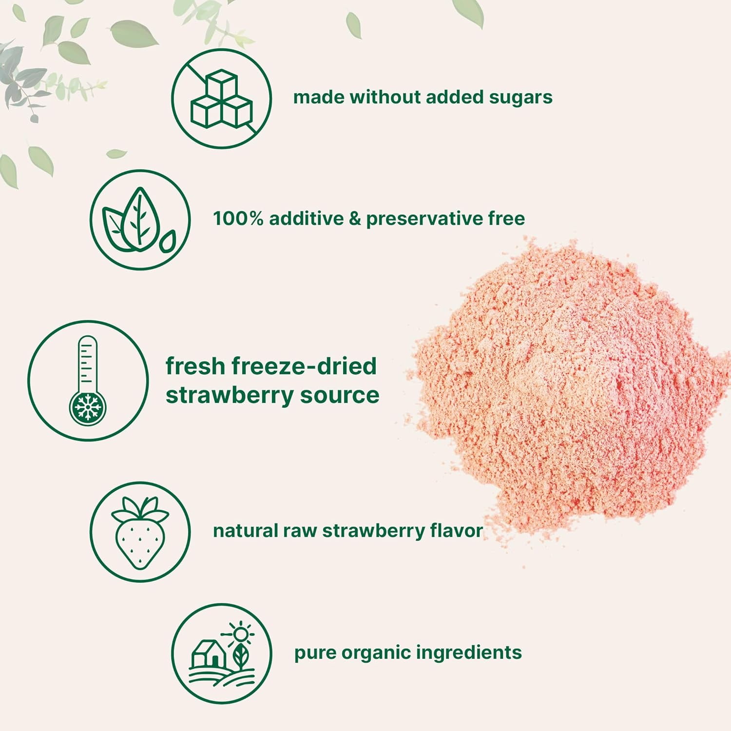 Micro Ingredients Organic Strawberry Powder, 16 Ounce | Freeze-Dried Source, No Sugar & Additives