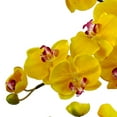 thumbnail image 2 of Nearly Natural Phalaenopsis Orchid Artificial Flowers with White Planter, Yellow, 2 of 3