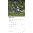 thumbnail image 3 of Greyhounds | 2024 12x24" (Hanging) Square Wall Calendar | BrownTrout, 3 of 8