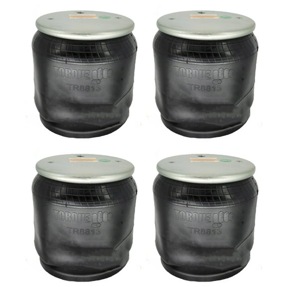 Air Spring Bag Replaces Firestone W01-358-8813 1R12-069 513031 85101145 Set of 4