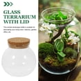 thumbnail image 4 of Glass Terrarium with Lid for Micro Landscaping Container Suitable for Daily Use Transparent Glass and Oak 7.5"x4.3", 4 of 9