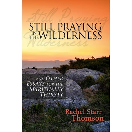 Still Praying in the Wilderness and Other Essays for the Spiritually Thirsty - (Prepared For The Worst But Still Praying For The Best)