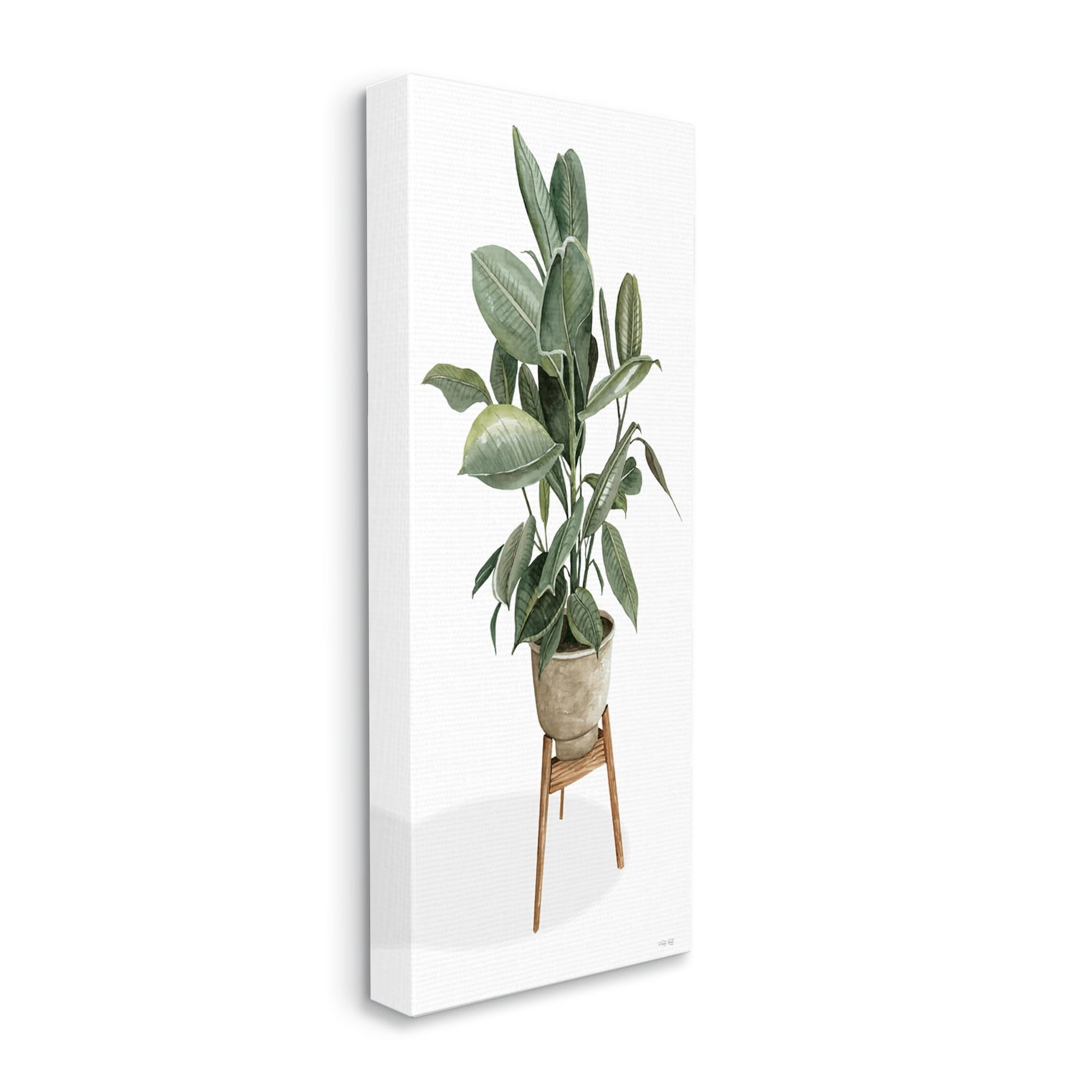 Stupell Industries Lush Green Potted House Plant Round Leaves Painting Gallery Wrapped Canvas Print Wall Art, Design by Cindy Jacobs