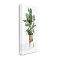thumbnail image 3 of Stupell Industries Lush Green Potted House Plant Round Leaves Painting Gallery Wrapped Canvas Print Wall Art, Design by Cindy Jacobs, 3 of 5