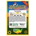 thumbnail image 2 of Everwilde Farms - 2000 Spicy Globe Basil Herb Seeds - Gold Vault Jumbo Bulk Seed Packet, 2 of 5