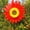Other, variant on Sunflower Lawn Pinwheels Wind Spinners Large Windmill Pinwheel for Garden,Yard, Party Outdoor Decor