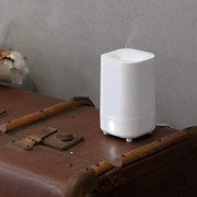 Ranger Travel USB Diffuser