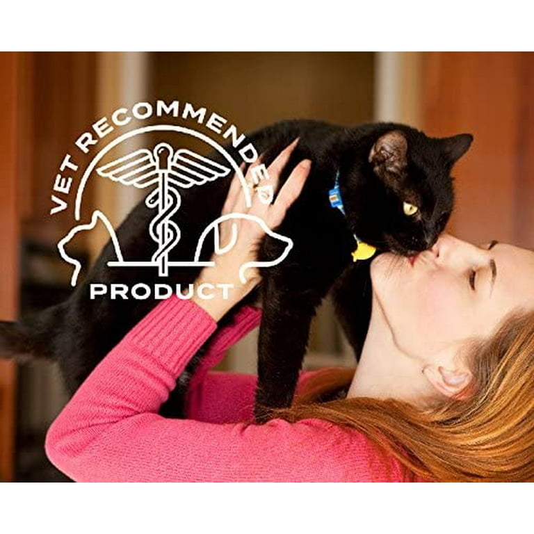 Flea And Tick Medication Poisoning In Cats Causes,