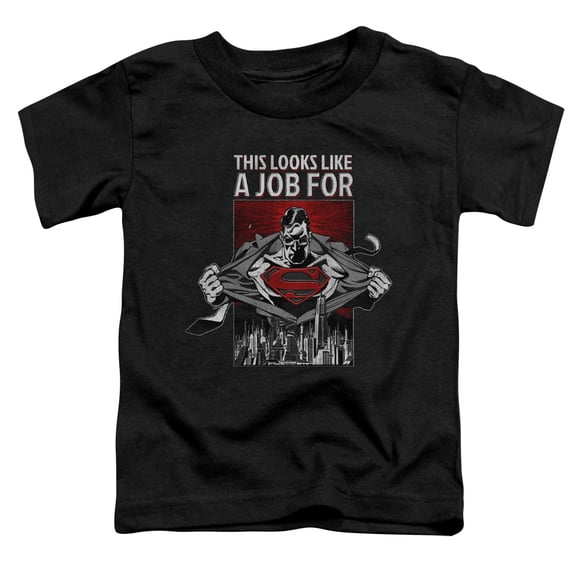 Superman - Watchful Eye - Toddler Short Sleeve Shirt - 4T