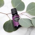 thumbnail image 2 of Edens Garden Relaxation Essential Oil Blend- 100% Pure Premium Grade, Undiluted, Natural, Therapeutic, Aromatherapy, The Best for Skin, Candle, Humidifiers 30 ml (1 fl oz), 2 of 9