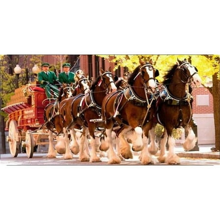 Clydesdales Pulling Wagon Photo License Plate