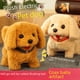 thumbnail image 1 of Muñeco de peluche eléctrico de conejo y perro de simulación para niños, juguete con sonido y movimiento, se puede llamar hombre y mujer eléctricos, 1 of 5
