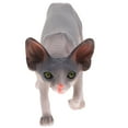 thumbnail image 4 of Decorative Cat Decor Small Cat Ornament Hairless Cat Statue Craft Decoration Simulation Kitten Figurine, 4 of 9