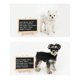 thumbnail image 4 of 1pc Coral Fleece Thickened Reversible Transformable Brown Bear Design Warm And Comfortable, 4 of 5