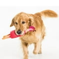 thumbnail image 2 of Latex Chicken Dog Toy, 2 of 5
