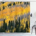 thumbnail image 1 of Ambesonne Fall Shower Curtain, Colorful Aspen Trees USA, 69"Wx75"L, Green Yellow Grey, 1 of 3