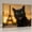 D, variant on XaaKee Canvas Wall Art Prints Black Cat Selfie Modern Art Prints Inner Framed 18*12Inch