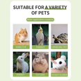 thumbnail image 3 of Pet Heating Lamp Reptile Basking Chicken Coop Day Night Amphibian Snake Heat Light Bulb100w, 3 of 5