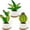 green, variant on Guanhe Garden Stake Acrylic Colorful Cactus, Garden Cactus Stake for Garden Yard Outdoor Indoor Figurines Art Decoration Christmas Gifts 1PC
