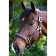 thumbnail image 2 of OVATION Luxor Cushion-Flex Horse Brown/Navy Horse Halter (470809BRNNVHRSE), 2 of 2