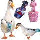 thumbnail image 4 of Ropa Reutilizable, Lavable, Suave Y Cómoda Para Mascotas, Con Banda Ajustable Para El Vientre A Prueba De Fugas, 4 of 4