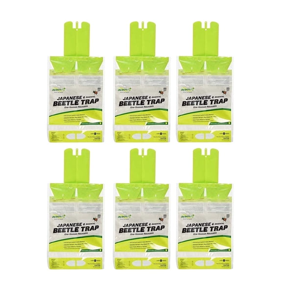 RESCUE! Reusable Japanese/Oriental Beetle Trap (6)