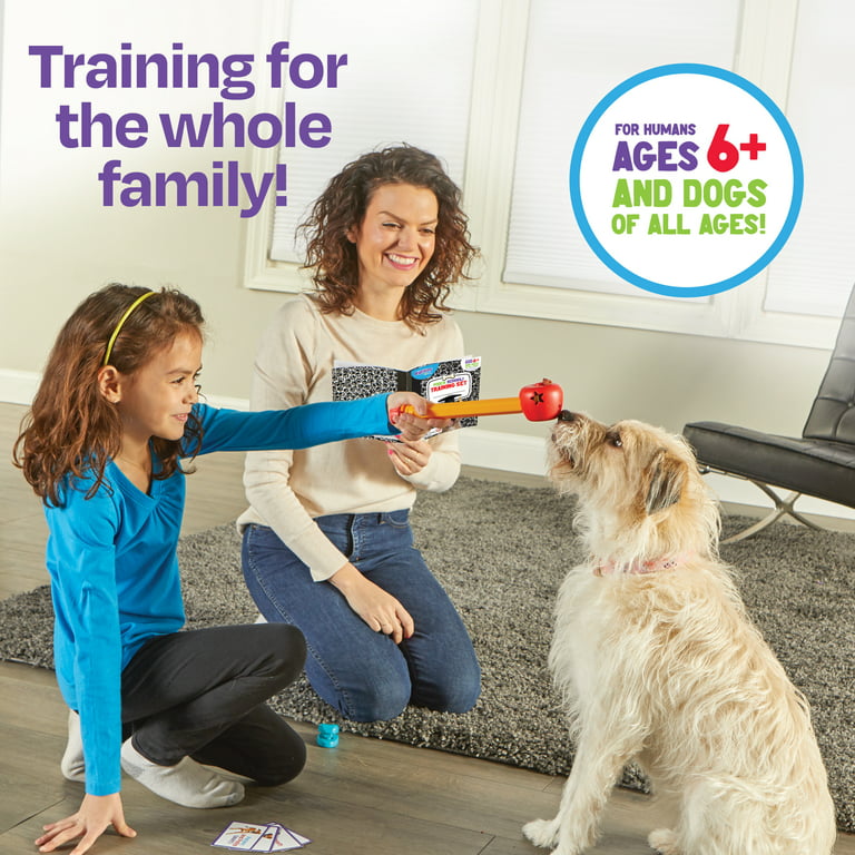 90 Dog Training Tips & A Review Of Brain Training For Dogs on Apple Books
