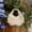 ivory white, variant on Luxury Shell Coral Straw Bag Handmade Woven Shoulder Bag Half Moon Knitting Women Handbags Bohemian Beach Bags for Women Clutch