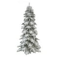 thumbnail image 2 of Vickerman 7' x 40" Flocked Vail Artificial Christmas Tree Featuring 1333 PE PVC Tips 350 Clear Mini Lights, 2 of 2