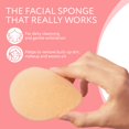 thumbnail image 2 of Esponja facial IMPRESA, paquete de 10 unidades, para limpieza y exfoliación diarias, 2 of 7